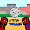 Head Volley
